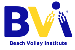BVI Logo